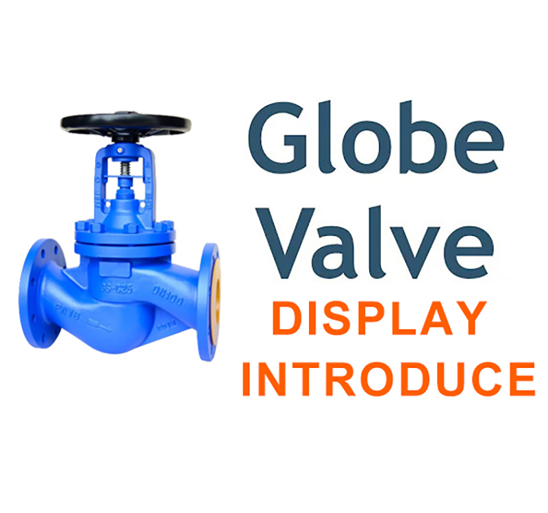 Bellow seal globe valve