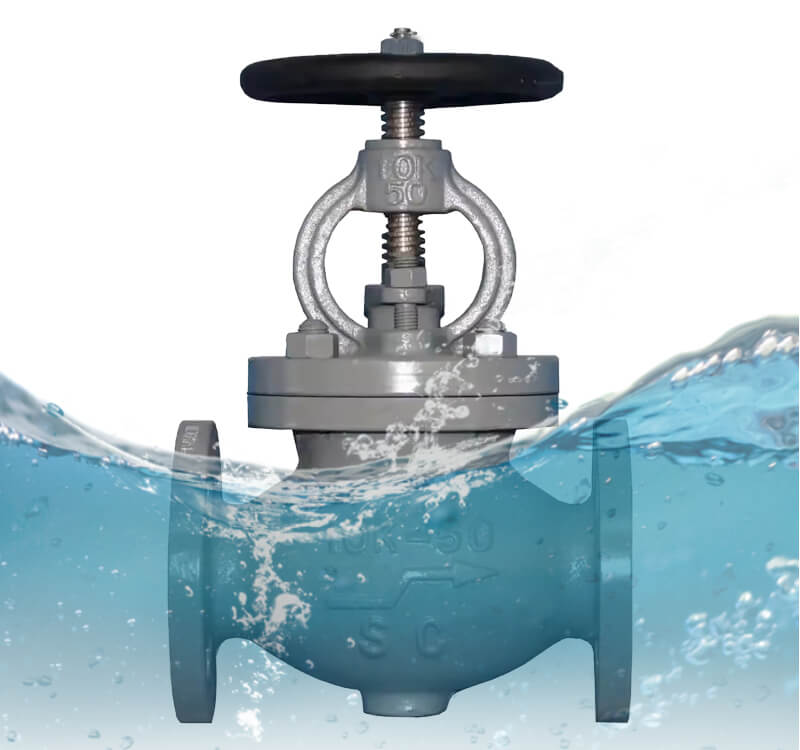 check globe valve